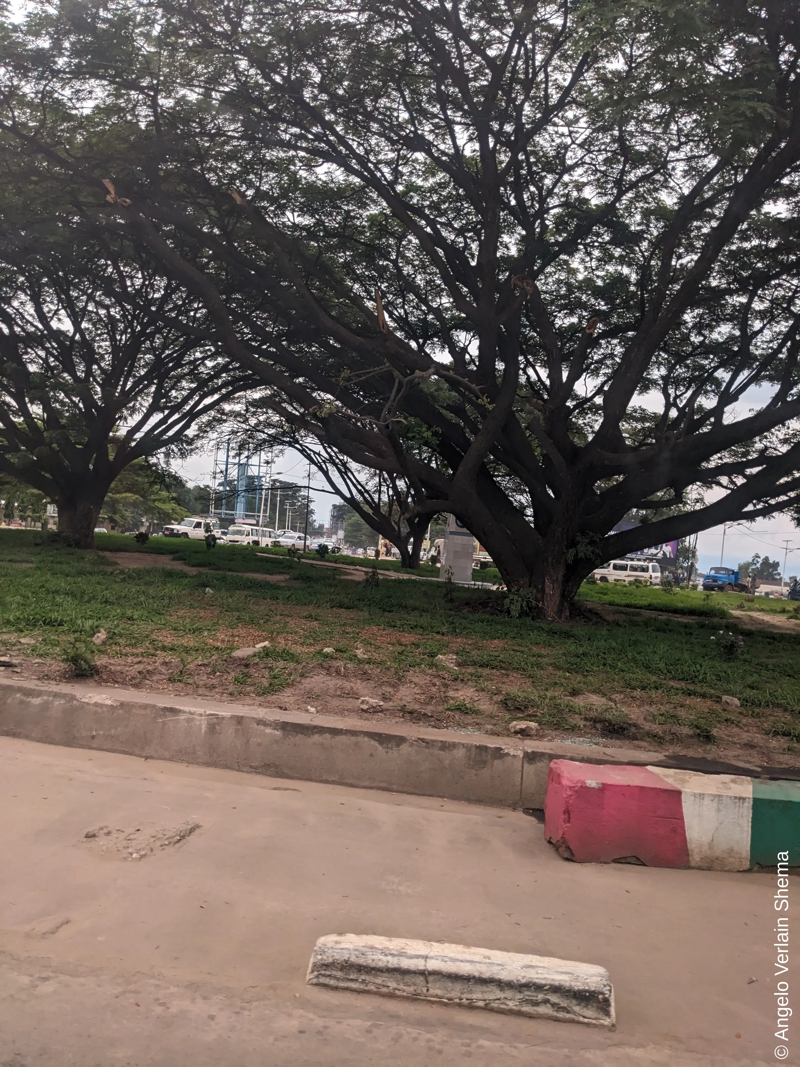 One of the numerous “squares” in Bujumbura. Most of them have the country’s past rulers’ sculptures or just a stone block, like this one